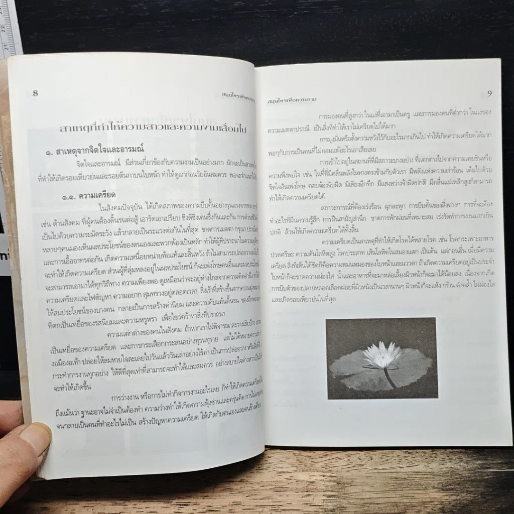 หนังสือ สมุนไพรเพื่อความงาม รูปที่ 8