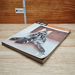 หนังสือ a day 152 รูปที่ 4