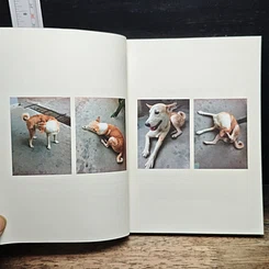 หนังสือ a book Glute story รูปที่ 7