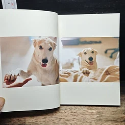 หนังสือ a book Glute story รูปที่ 8