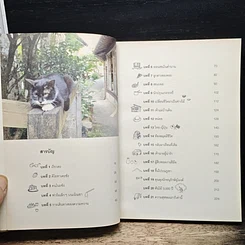 หนังสือ ทำอะไรเล็กๆ ง่ายๆ ก็มีความสุขได้ รูปที่ 8