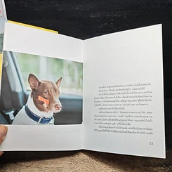 หนังสือ บ้านใหม่ เพื่อนใหม่ และการเดินทางครั้งใหม่ Gluta Story The New Home รูปที่ 10