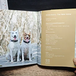 หนังสือ บ้านใหม่ เพื่อนใหม่ และการเดินทางครั้งใหม่ Gluta Story The New Home รูปที่ 11