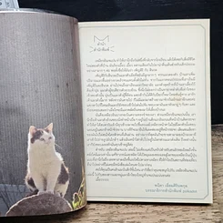 หนังสือ เหมียวอินเจแปน รูปที่ 6