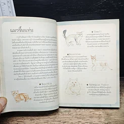 หนังสือ เหมียวอินเจแปน รูปที่ 9