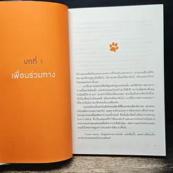 บ๊อบ แมวเตะฝันข้างถนน รูปที่ 8