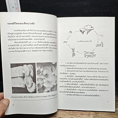 หนังสือ คู่มือการเพาะเห็ดนางฟ้า รูปที่ 8