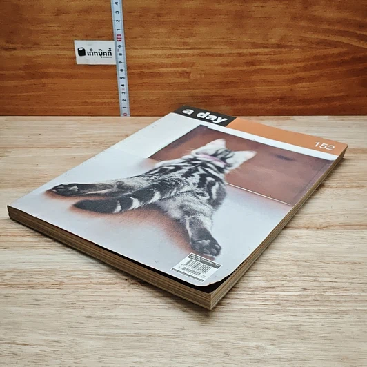 หนังสือ a day 152 รูปที่ 4