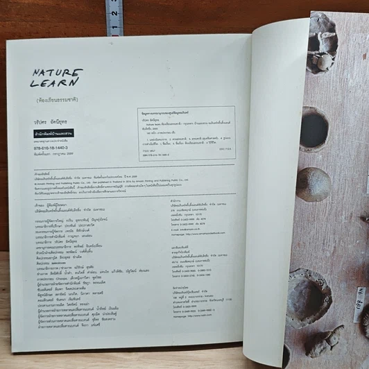 หนังสือ Nature Learn ห้องเรียนธรรมชาติ รูปที่ 9
