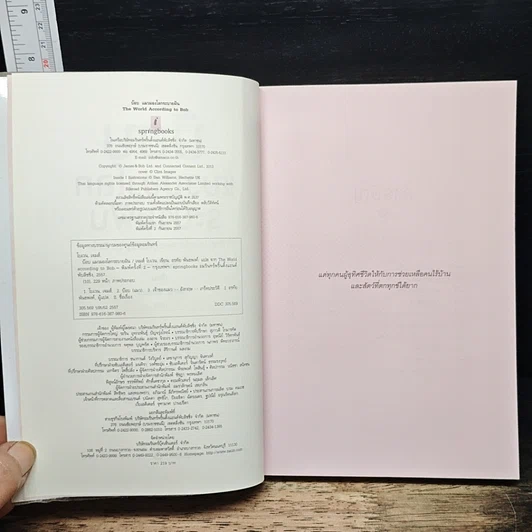 หนังสือ บ๊อบ แมวมองโลกระบายฝัน รูปที่ 6