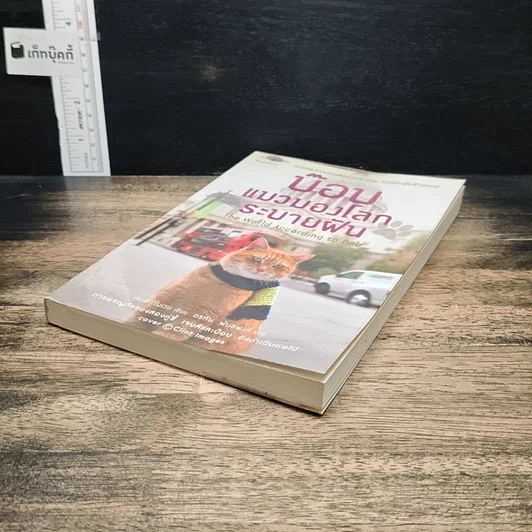 หนังสือ บ๊อบ แมวมองโลกระบายฝัน รูปที่ 4