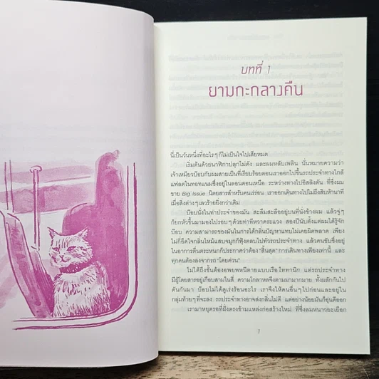 หนังสือ บ๊อบ แมวมองโลกระบายฝัน รูปที่ 8