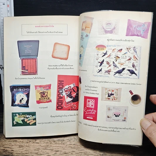 หนังสือ Hokkaido Summer สองวูฟเฟอร์ในทุ่งกว้าง รูปที่ 9