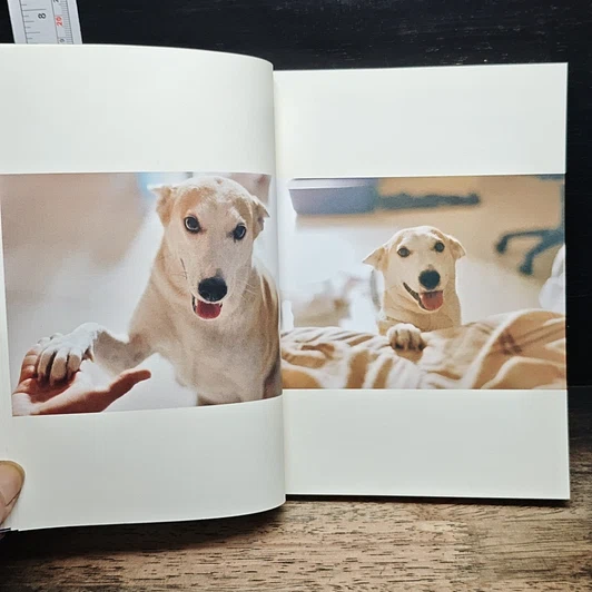 หนังสือ a book Glute story รูปที่ 8
