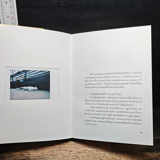 หนังสือ บ้านใหม่ เพื่อนใหม่ และการเดินทางครั้งใหม่ Gluta Story The New Home รูปที่ 7
