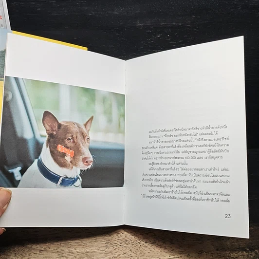หนังสือ บ้านใหม่ เพื่อนใหม่ และการเดินทางครั้งใหม่ Gluta Story The New Home รูปที่ 10