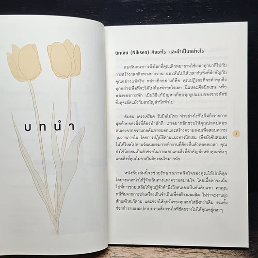 หนังสือ NIKSEN ศิลปะของการไม่ทำอะไรเลย รูปที่ 8