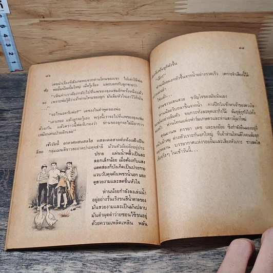 หนังสือ ลูกห่านโทน รูปที่ 8