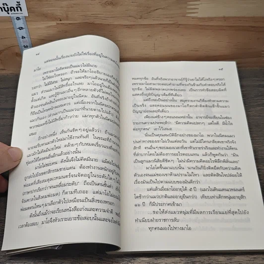 มาโอ ตอน แมว (ไม่) โง่กับพ่อมดระดับ 71 รูปที่ 7