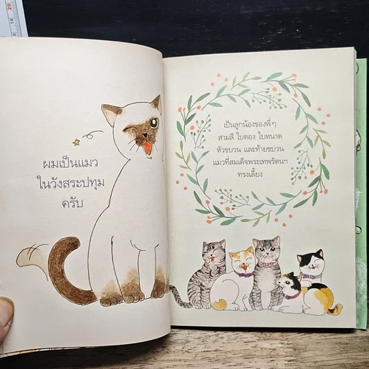 หนังสือ อยู่วังสระปทุม รูปที่ 8
