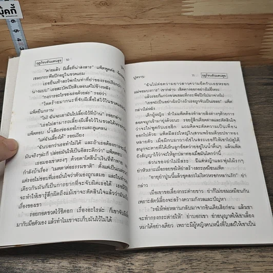 ฤดูร้อนอันแสนสุข รูปที่ 7