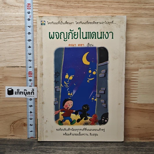 ผจญภัยในแดนเงา รูปที่ 1