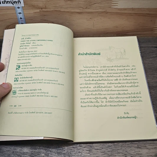 หนังสือ เคซี...ม้าพิลึก! รูปที่ 6