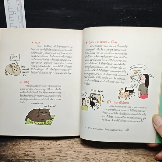 หนังสือ Cat Study วิชาแนะแมว รูปที่ 7