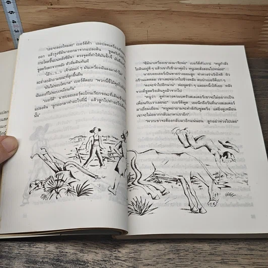 หนังสือ บ้านสตรอว์เบอร์รี รูปที่ 7