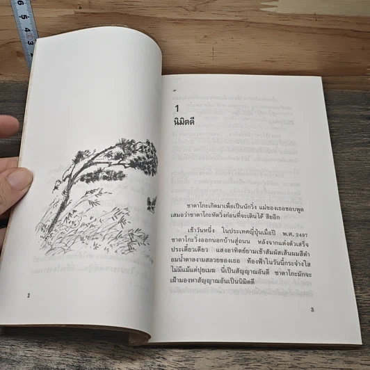 หนังสือ ซาดาโกะกับนกกระเรียนพันตัว รูปที่ 7