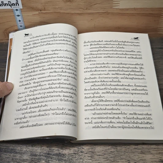หนังสือ พายุรักทะเลทราย รูปที่ 7
