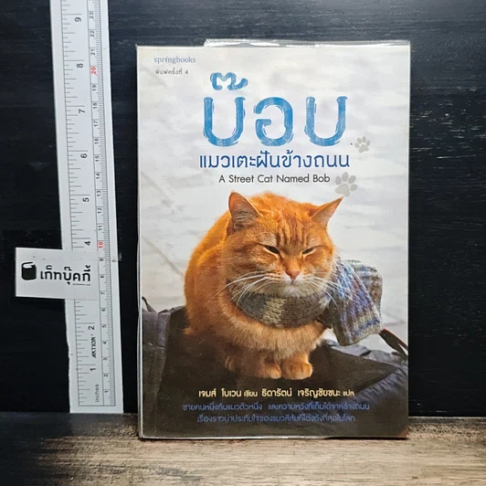 บ๊อบ แมวเตะฝันข้างถนน รูปที่ 1