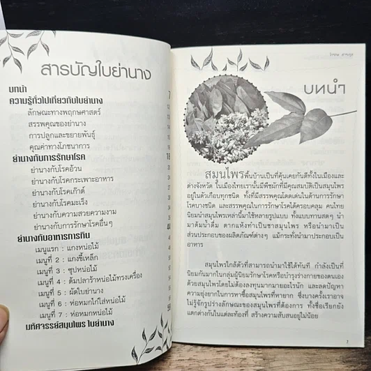 หนังสือ มหัศจรรย์สมุนไพร ใบย่านาง รูปที่ 8