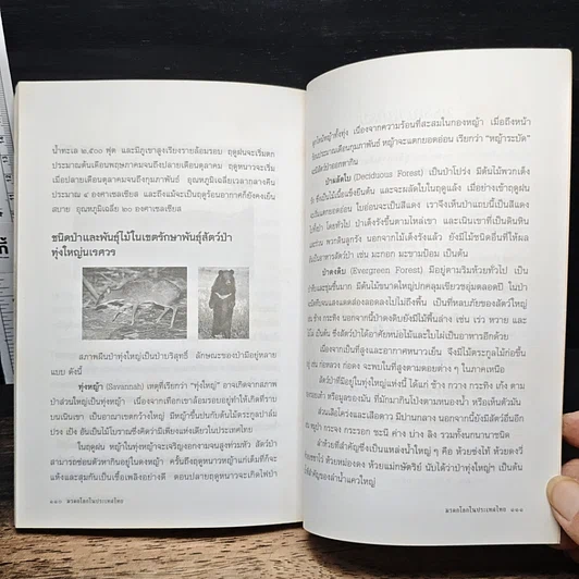 มรดกโลกในประเทศไทย รูปที่ 9