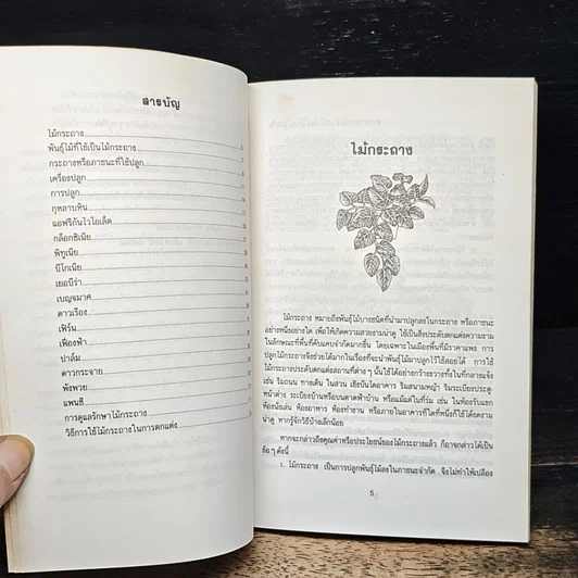 หนังสือ ไม้กระถาง รูปที่ 6