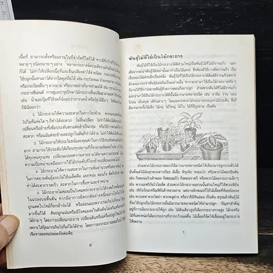 หนังสือ ไม้กระถาง รูปที่ 7