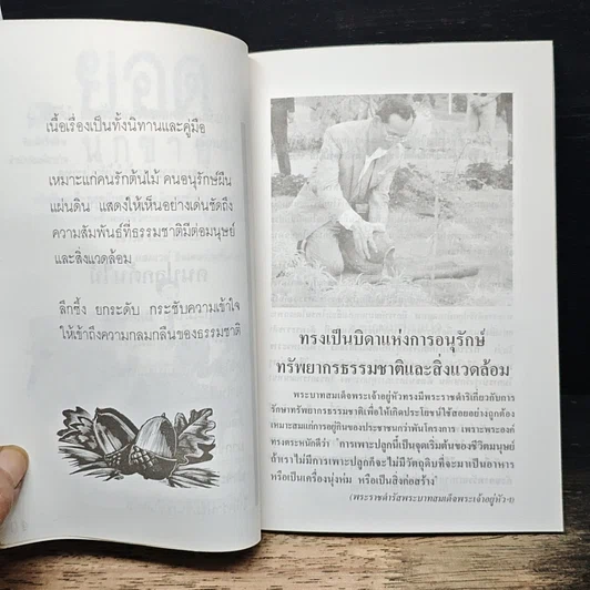หนังสือ คนปลูกต้นไม้ รูปที่ 7