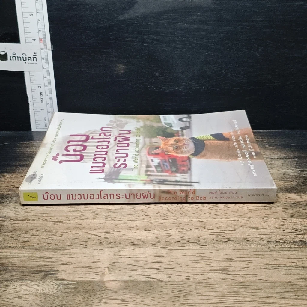 หนังสือ บ๊อบ แมวมองโลกระบายฝัน รูปที่ 3