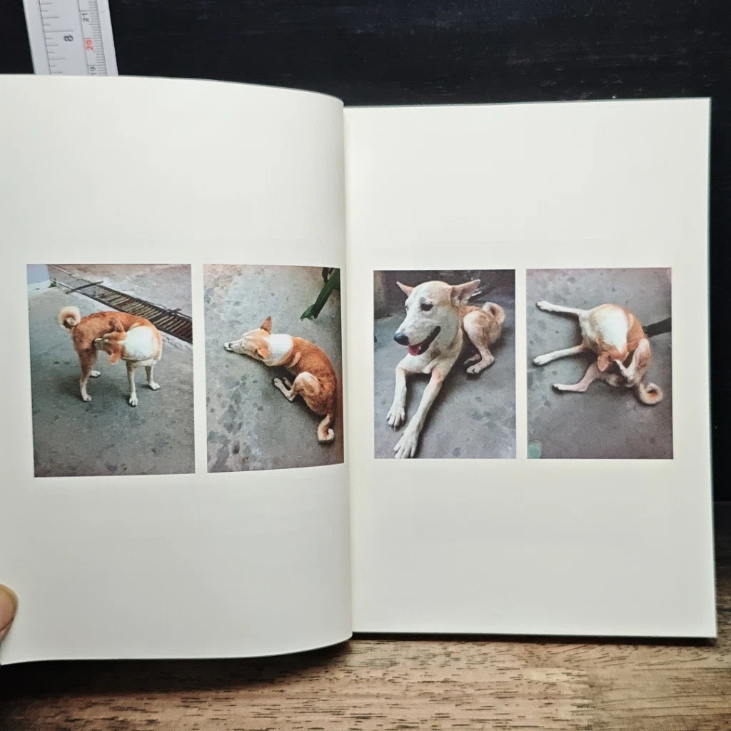 หนังสือ a book Glute story รูปที่ 7