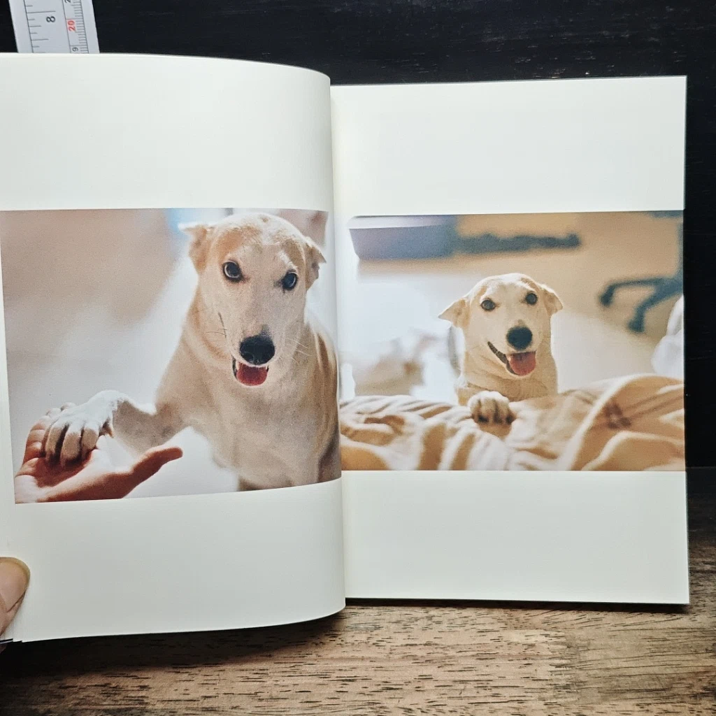 หนังสือ a book Glute story รูปที่ 8