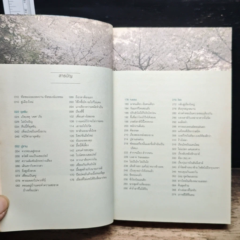 หนังสือ เกาหลีใต้ที่นอน รูปที่ 8