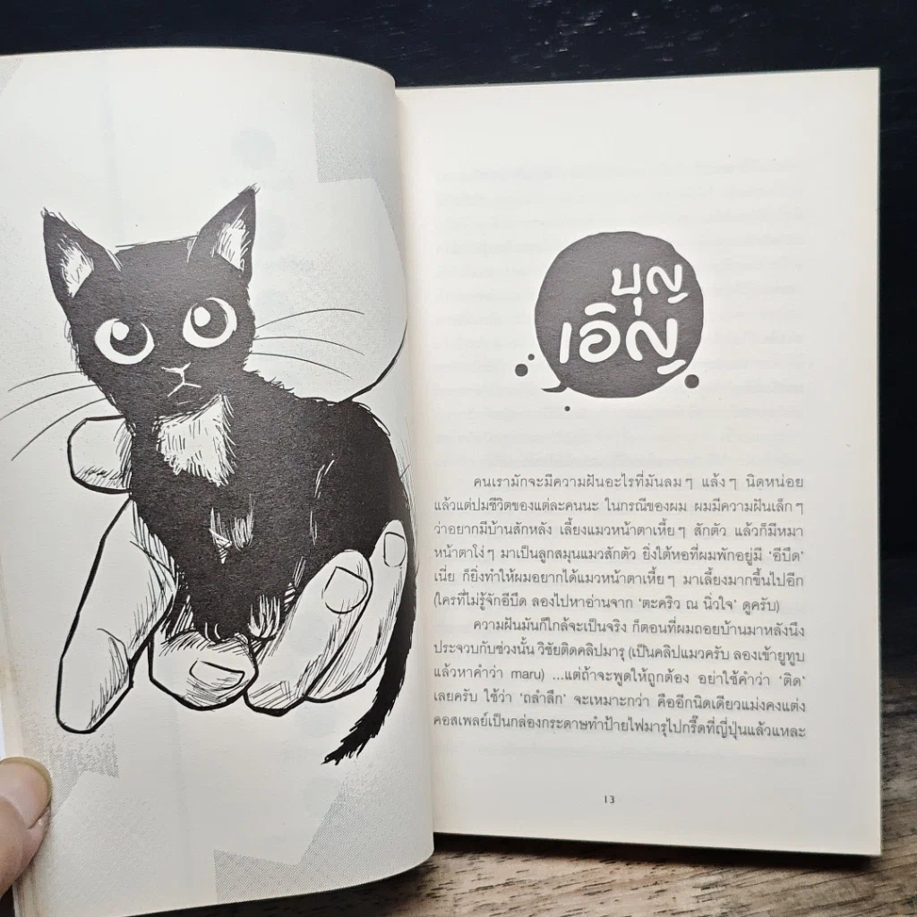 หนังสือ มันมากับความเหมียว รูปที่ 11
