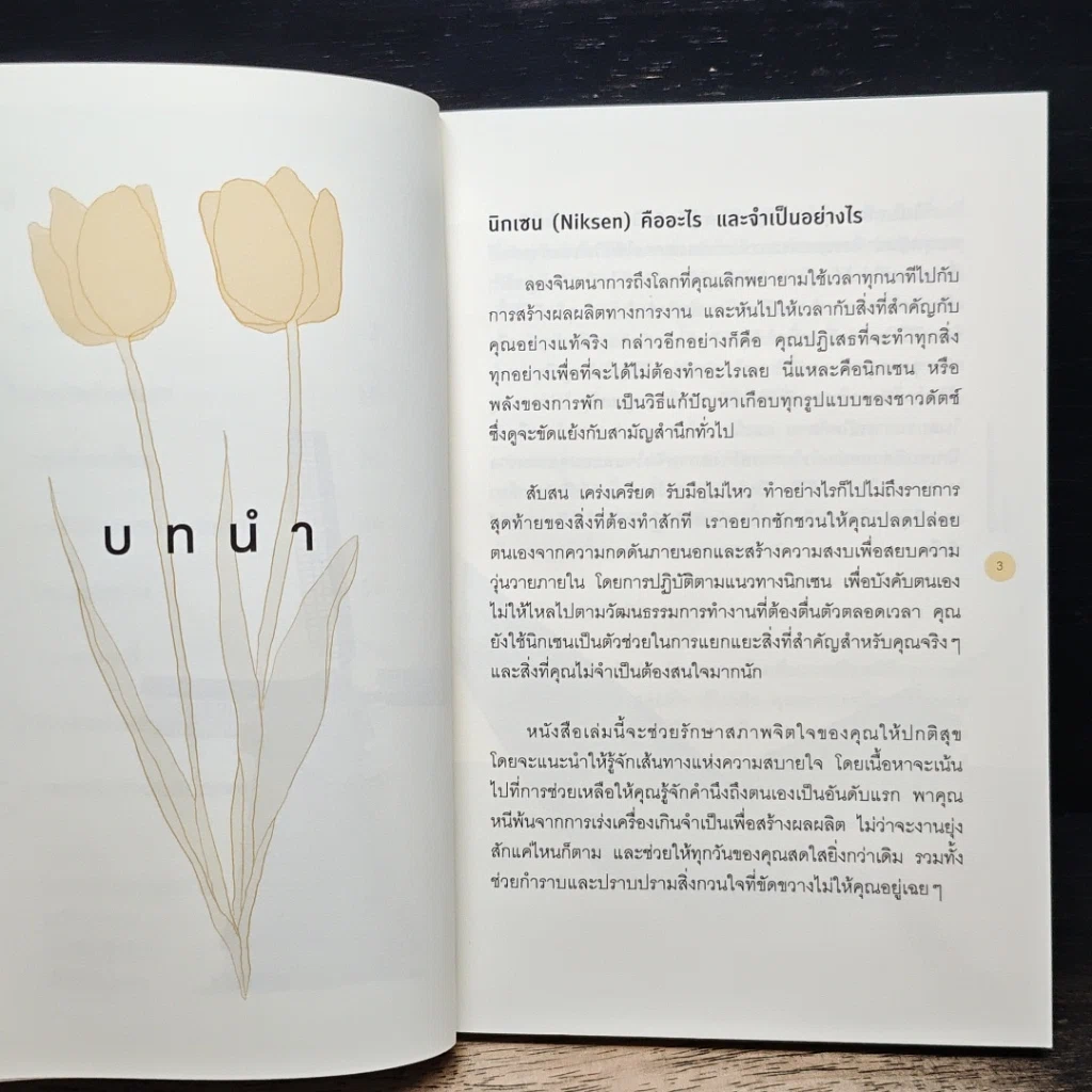 หนังสือ NIKSEN ศิลปะของการไม่ทำอะไรเลย รูปที่ 8