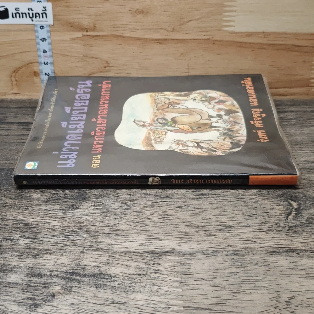 หนังสือ แม่วาดเมียบียอร์น ตอน แหวกยิวเข้าฉนวนกาซ่า รูปที่ 2