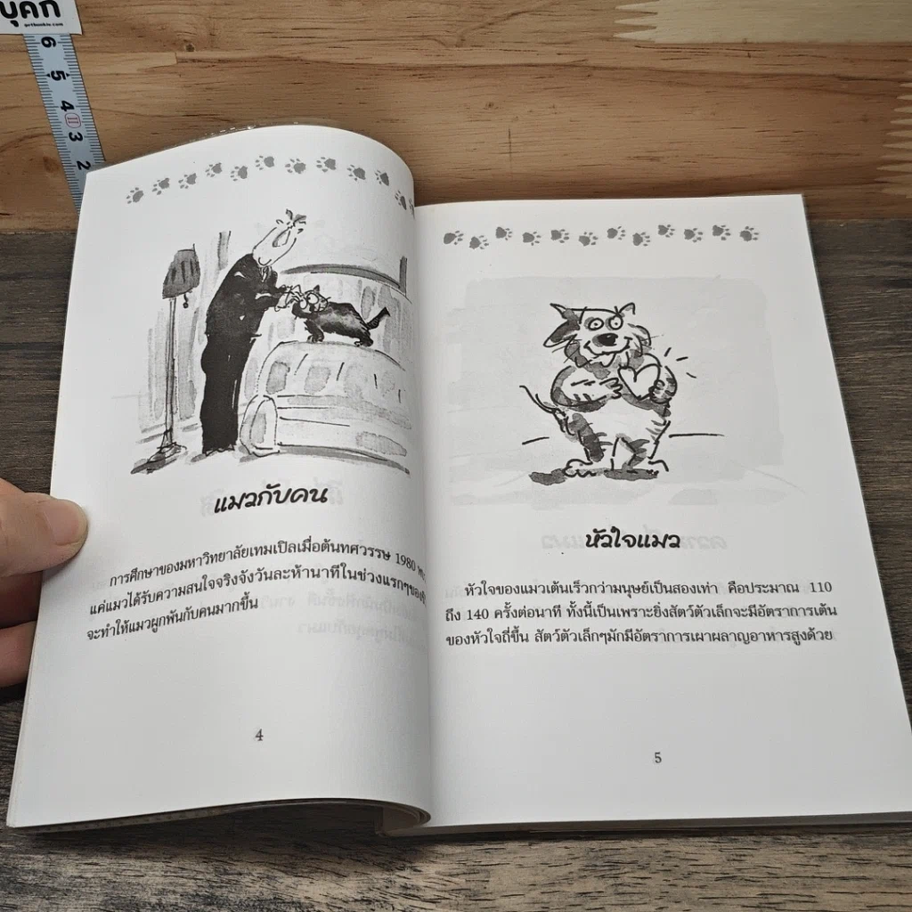 หนังสือ หรรษาประสาแมว รูปที่ 7