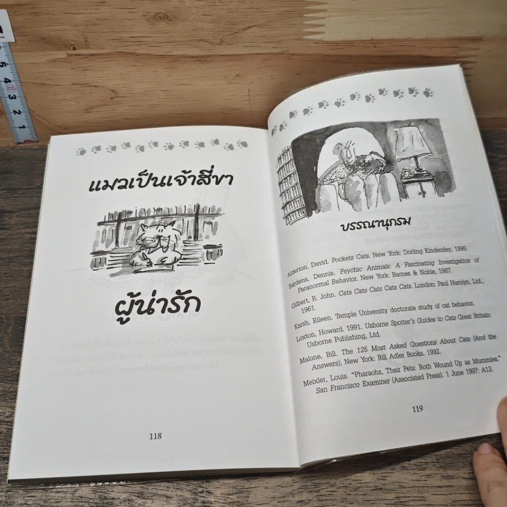 หนังสือ หรรษาประสาแมว รูปที่ 8