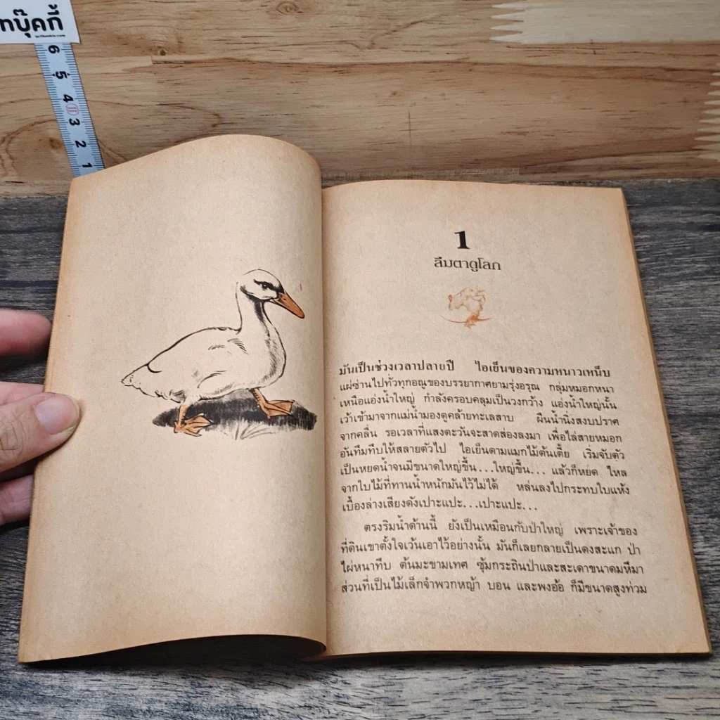 หนังสือ ลูกห่านโทน รูปที่ 7