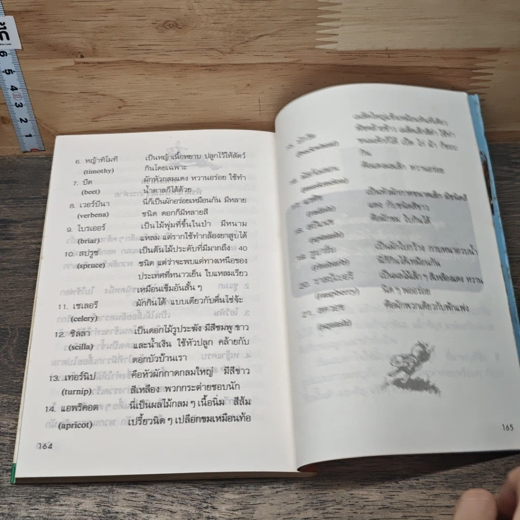 หนังสือ วันสุขสันต์บนเนินเขากระต่าย รูปที่ 8