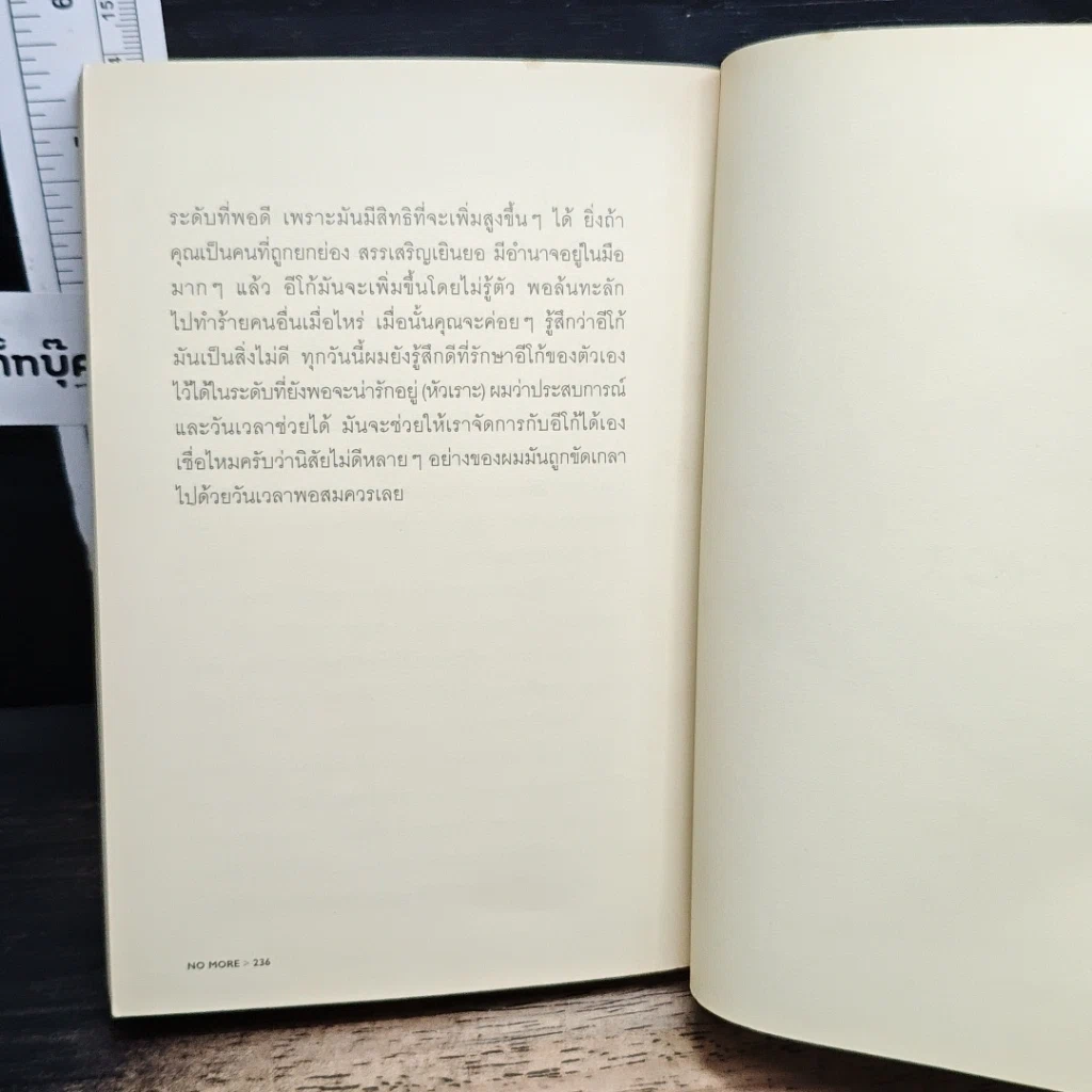 หนังสือ No More No Less รูปที่ 10