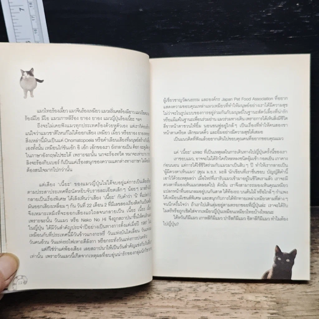หนังสือ เหมียวอินเจแปน รูปที่ 8